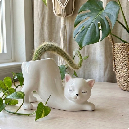 Handmade Cat Stretching Pot 🪴