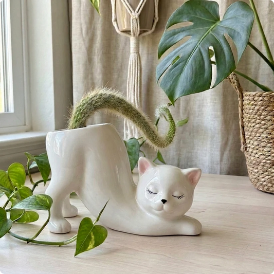 Handmade Cat Stretching Pot 🪴